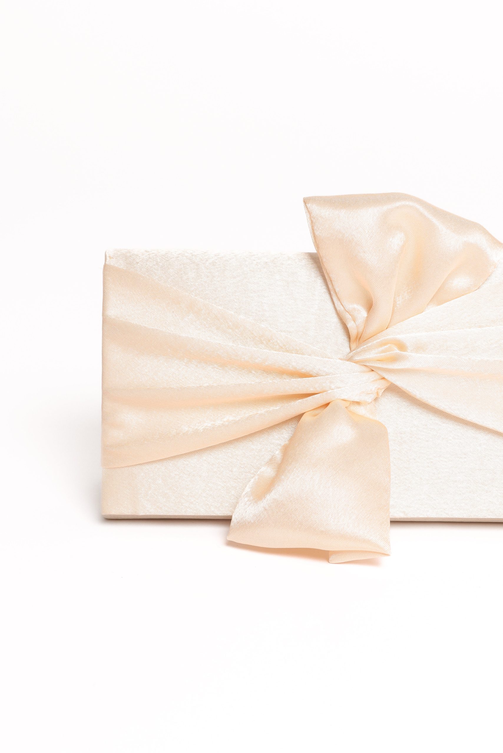 Ophelia Clutch - Champagne - Image 3