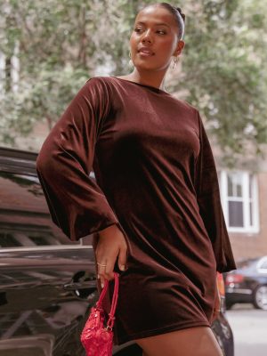 Twylar Long Sleeve Velvet Mini Dress - Brown